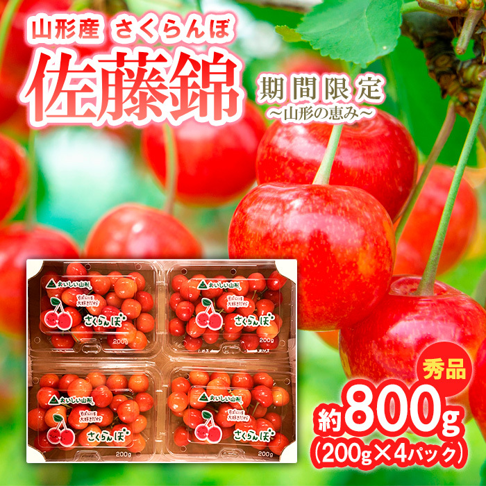 さくらんぼ[佐藤錦]約800g (200g×4パック) 期間限定〜山形の恵み〜 [令和8年産先行予約]FS24-527