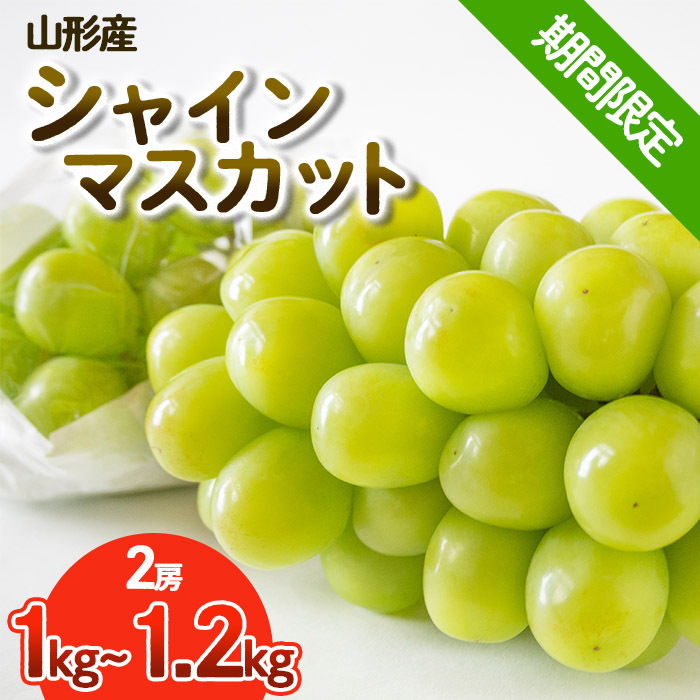 【期間限定】希少！冬のシャインマスカット 秀品 2房入り (1kg～1.2kg) FY25-903