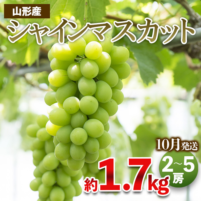 やまがたのぶどう シャインマスカット 秀品 約1.7kg(2〜5房程度) [10月発送] [令和7年産先行予約]FS23-755