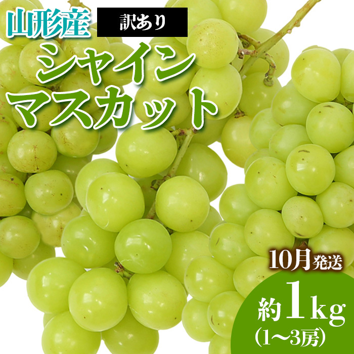 [訳あり]やまがたのぶどう シャインマスカット 10月 優品 約1kg(1〜3房程度) [令和7年産先行予約]FS23-819