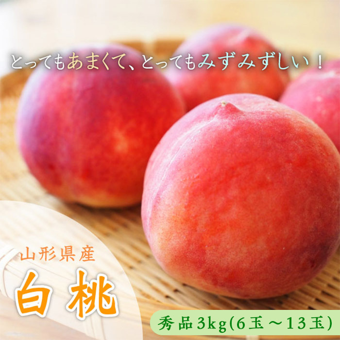 山形市産 白桃 秀品 約3kg(6玉〜13玉)※品種おまかせ「硬い桃」 [令和7年産先行予約]FS23-731