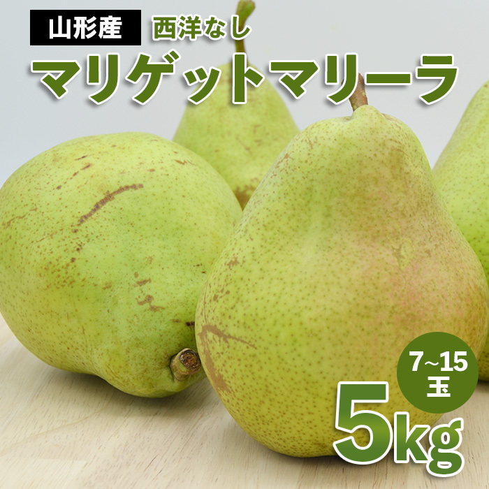 山形市産 西洋なし(マリゲットマリーラ) 秀 5kg(7玉〜15玉) [令和7年産先行予約]FS23-729