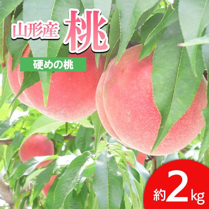 山形の桃(かための桃) 約2kg(4〜9玉) [令和7年産先行予約]FS24-657