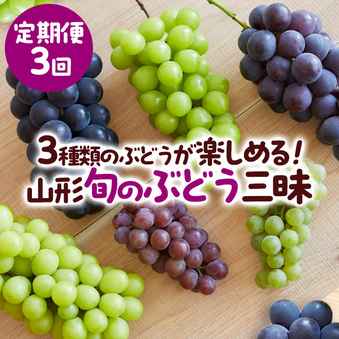 [定期便3回]3種類のぶどうが楽しめる!山形 旬のぶどう三昧 [令和7年産先行予約]FS23-771