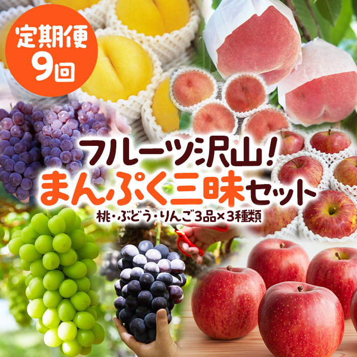 [定期便9回]フルーツ沢山!まんぷく三昧セット (桃・ぶどう・りんご 3品目×3種類) [令和7年産先行予約]FU23-849