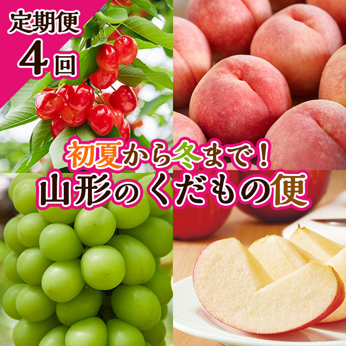 [定期便4回]初夏から冬まで!山形のくだもの便 [令和7年産先行予約]FU23-701