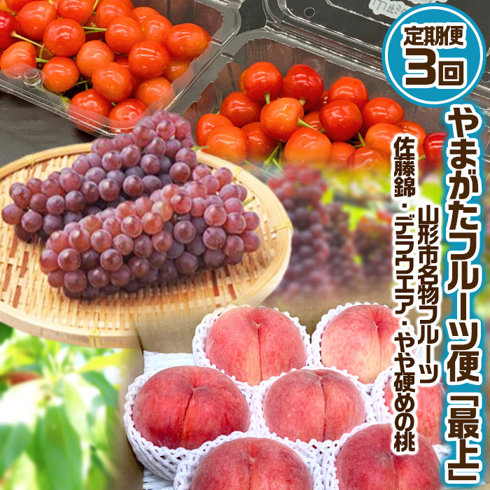 [定期便3回]やまがた フルーツ定期便 "最上" 山形名物フルーツ [佐藤錦・デラウェア・やや硬め白桃] [令和7年産先行予約]FS24-538