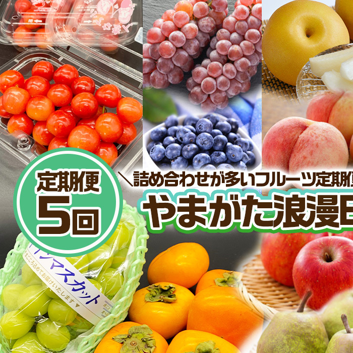 【定期便5回】やまがた浪漫B [さくらんぼ・デラウェアとブルーベリー・白桃と和梨・シャインマスカットと柿・サンふじとラ・フランス] FZ24-529