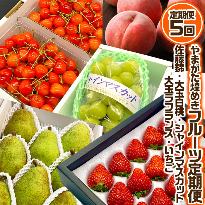 [定期便5回]やまがた 煌めきフルーツ定期便(佐藤錦・大玉白桃・シャインマスカット・大玉ラ・フランス・いちご) [令和7年産先行予約]FU23-845