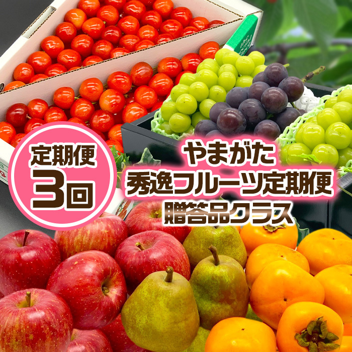 [定期便3回]やまがた秀逸フルーツ 贈答品クラス [令和7年産先行予約]FS24-532