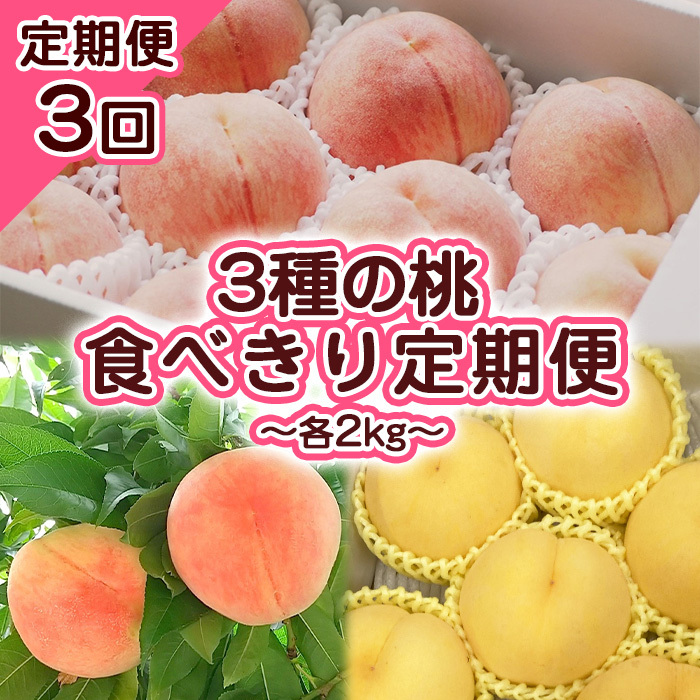 [定期便3回]3種の桃 食べきり定期便〜各2kg〜 [令和7年産先行予約]FS23-706