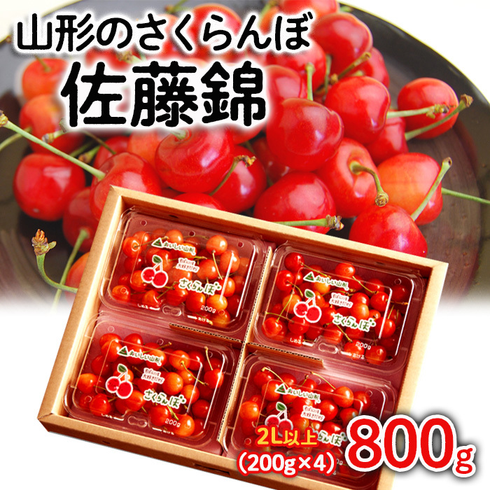山形のさくらんぼ 佐藤錦 800g(200g×4パック) 2Lサイズ以上 【令和7年産先行予約】FS24-552