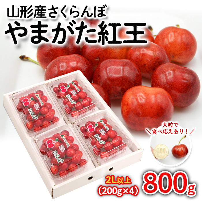 さくらんぼ やまがた紅王 約800g(200g×4パック) 2Lサイズ以上 [令和7年産先行予約]FS24-562