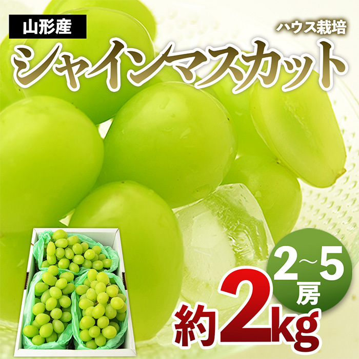 [ハウス栽培]山形のシャインマスカット 秀品 約2kg(2〜5房) [令和7年産先行予約]FS24-640