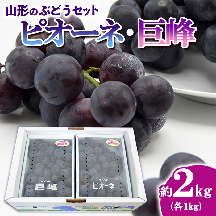 山形のぶどうセット 秀品 約2kg(ピオーネ約1kg2房前後・巨峰約1kg2房前後)[9月中旬〜10月中旬お届け] [令和7年産先行予約]FS24-572