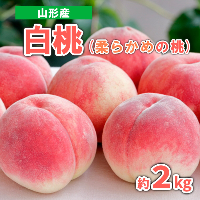 山形産 白桃 (柔らかめの桃) 約2kg 秀品 [令和7年産先行予約]FS23-717