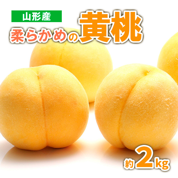 山形産 柔らかめの黄桃 約2kg (4〜9玉) 秀品 [令和7年産先行予約] FS23-718