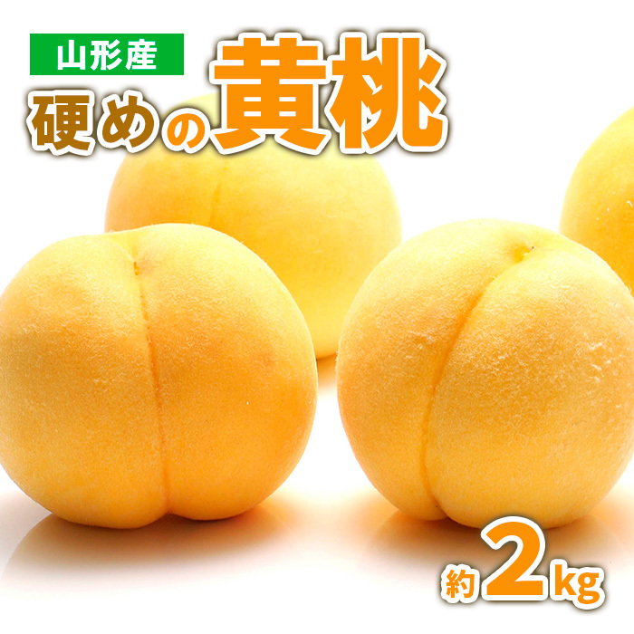 山形産 硬めの黄桃 約2kg(4〜9玉)秀品 [令和7年産先行予約]FS23-778