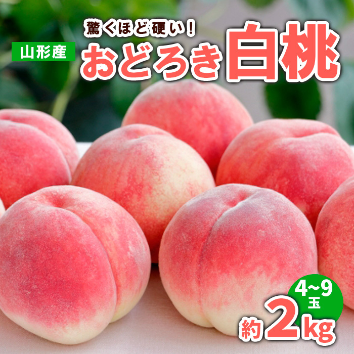 山形産 おどろき 白桃 秀 約2kg(4〜9玉) [令和7年産先行予約]FS23-780