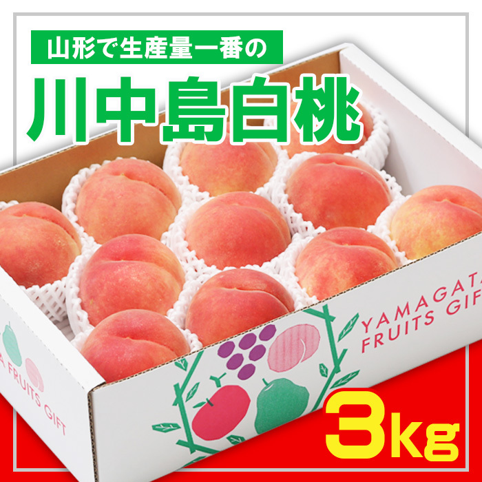 ☆フルーツ王国山形☆ 白桃 秀品3kg [山形で生産量1番の 川中島白桃 ] [令和7年産先行予約]FS23-825