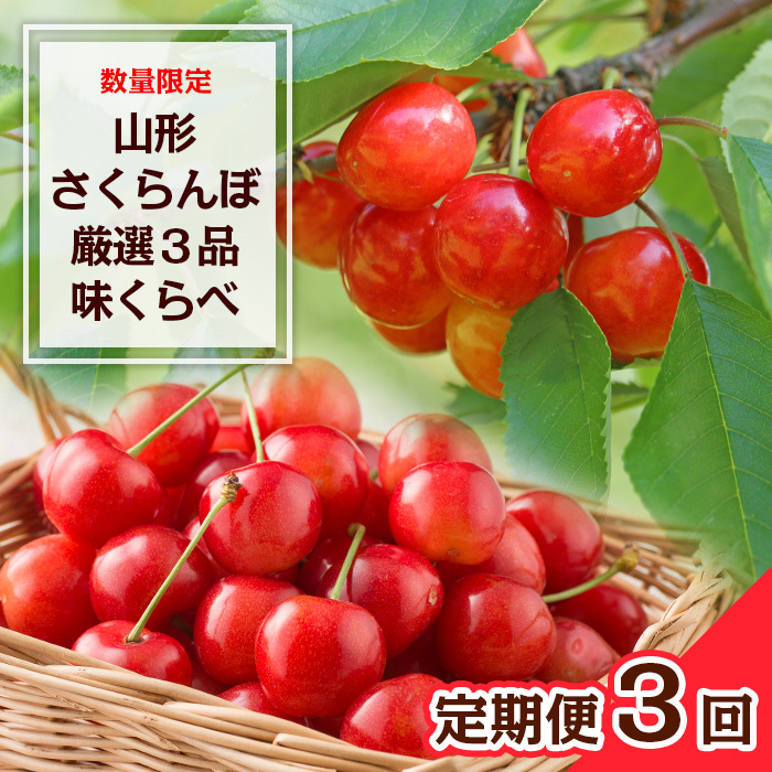 [定期便3回]数量限定 山形さくらんぼ 厳選3品味くらべ [令和8年産先行予約]FS23-865