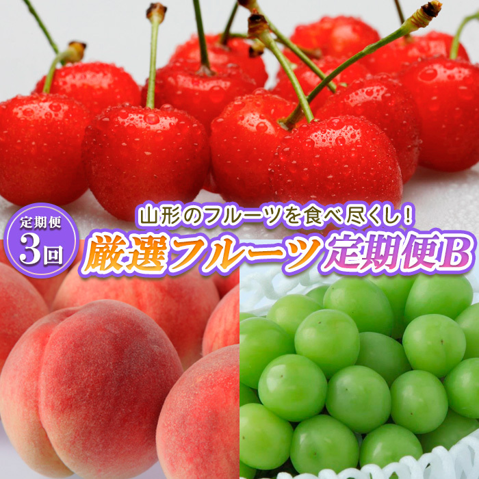 定期便3回】山形のフルーツを食べ尽くし!厳選フルーツ定期便B 定期便3回】山形のフルーツを食べ尽くし!厳選フルーツ定期便B