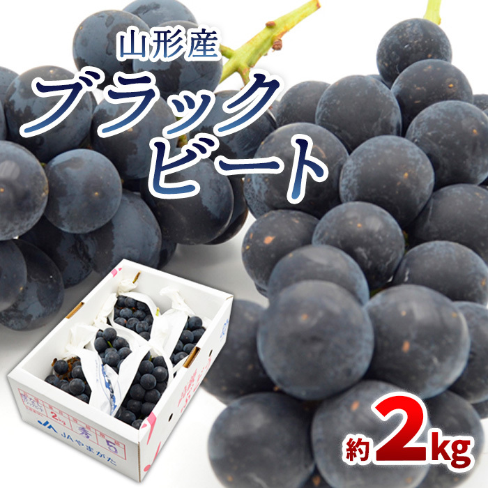山形のぶどう ブラックビート 秀品 約2kg(3〜6房) [令和7年産先行予約]FS24-653