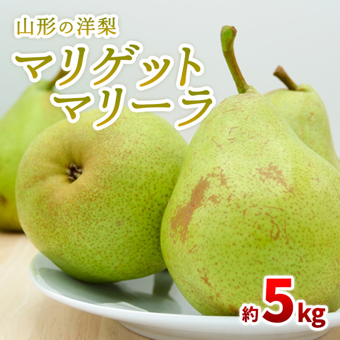 山形の洋梨 マリゲットマリーラ 秀品 約5kg(7〜15玉) [令和7年産先行予約]FS23-863