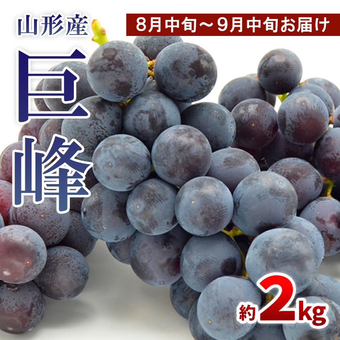 山形のぶどう 巨峰 秀品 約2kg(3〜6房)[8月中旬〜9月中旬お届け] [令和7年産先行予約]FS24-651