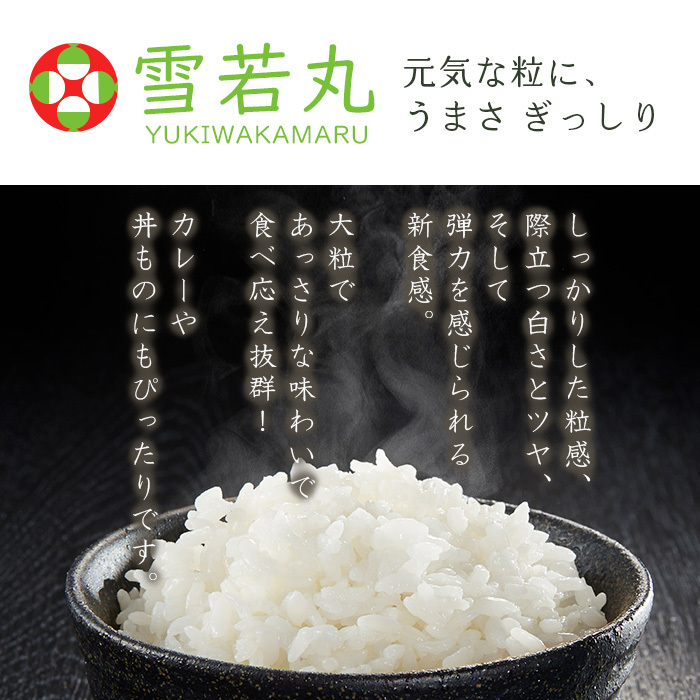 お米 雪若丸 10kg めしだけでうまい。六年産 血なまぐさく 山形