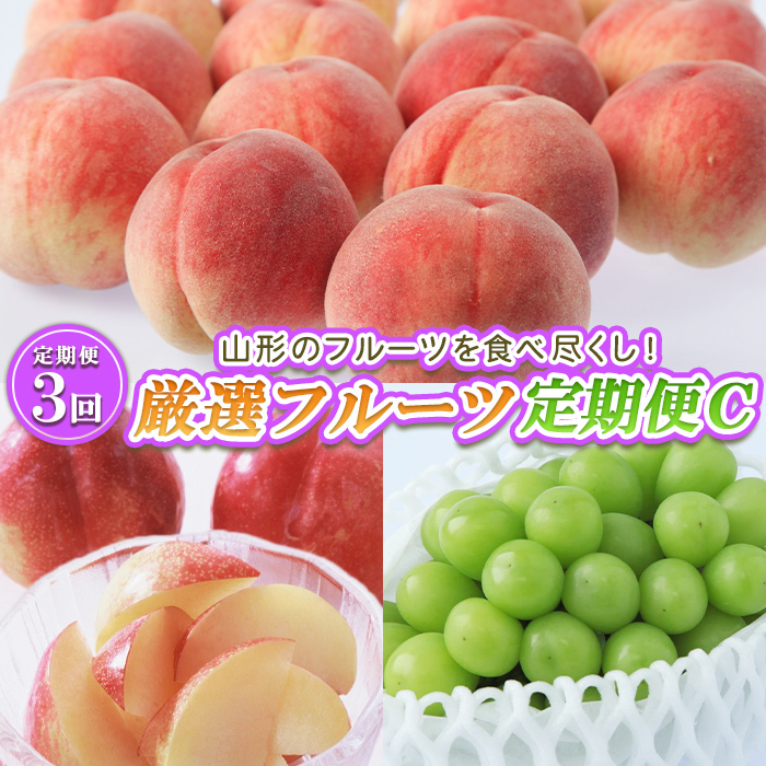 [定期便3回]山形のフルーツを食べ尽くし!厳選フルーツ定期便C [令和7年産先行予約]FS24-541