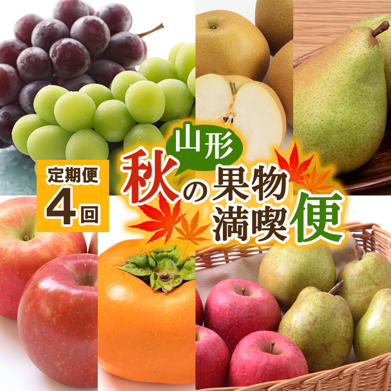 [定期便4回]山形秋の果物 満喫便[令和7年産先行予約]FS24-614
