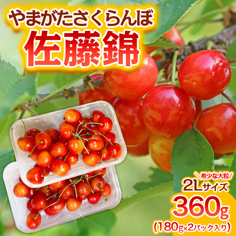 やまがた さくらんぼ 佐藤錦 "希少な大粒" 2Lサイズ 360g(180g×2パック入り) 1箱[令和8年産先行予約]FS25-573