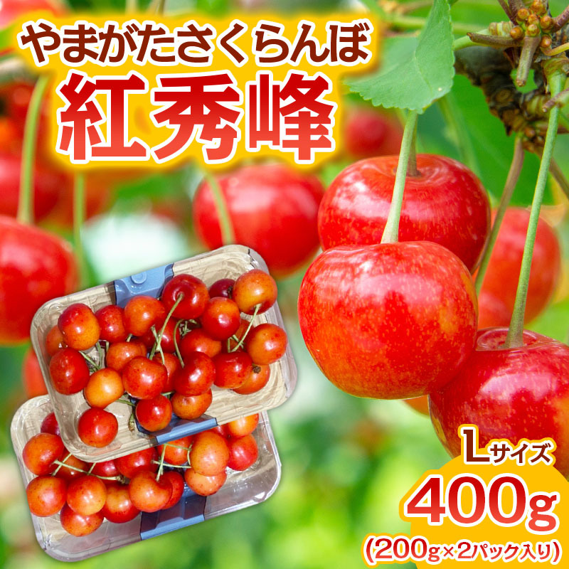 やまがた さくらんぼ 紅秀峰 Lサイズ 400g(200g×2パック入り) 1箱[令和7年産先行予約]FS23-888