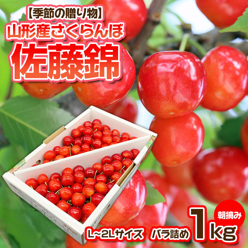 [季節の贈り物]さくらんぼ 佐藤錦 1kg バラ詰め 朝摘み[令和8年産先行予約]FS25-509