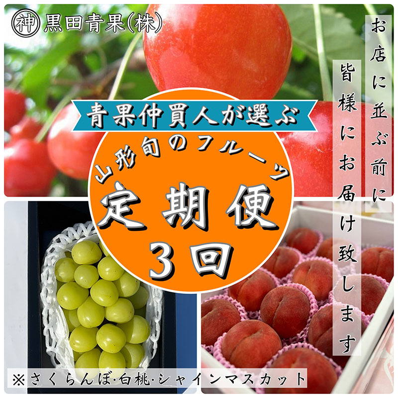 [定期便3回]青果仲買人が選ぶ!山形旬のフルーツ3選![さくらんぼ・白桃・シャインマスカット][令和7年産先行予約]FS24-598