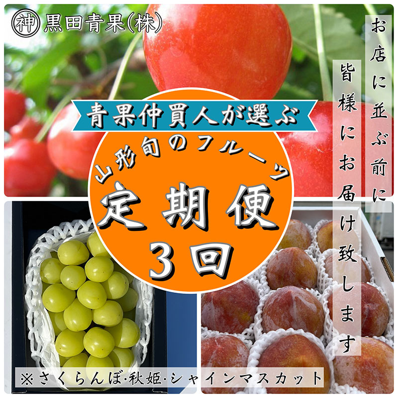 [定期便3回]青果仲買人が選ぶ!山形旬のフルーツ3選![さくらんぼ・秋姫・シャインマスカット][令和7年産先行予約]FS23-891