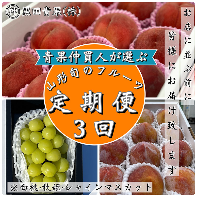 [定期便3回]青果仲買人が選ぶ!山形旬のフルーツ3選![白桃・秋姫・シャインマスカット][令和7年産先行予約]FS24-599