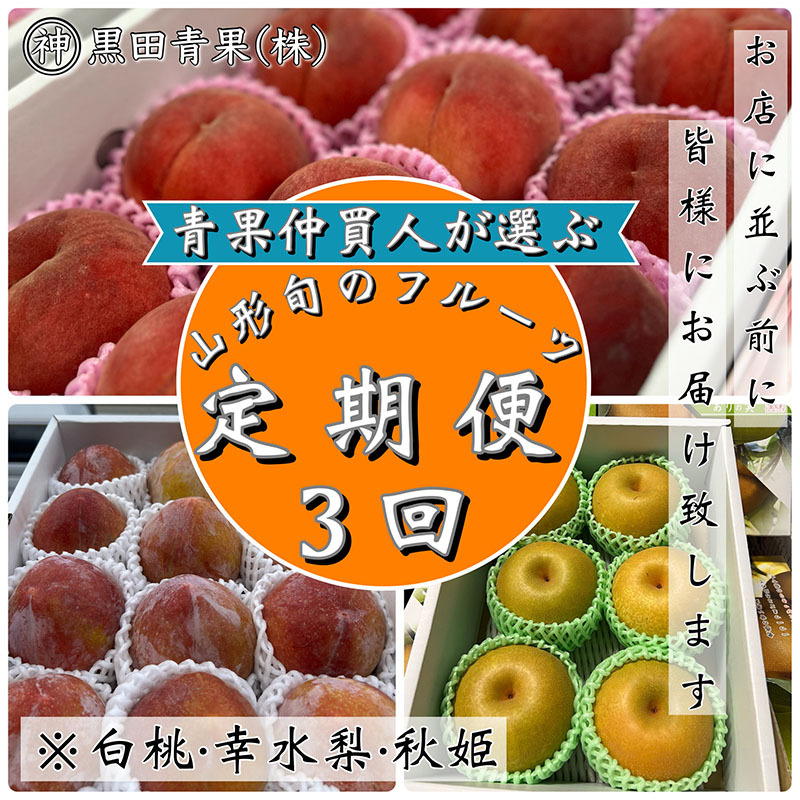 [定期便3回]青果仲買人が選ぶ!山形旬のフルーツ3選![白桃・幸水梨・秋姫][令和7年産先行予約]FS24-596