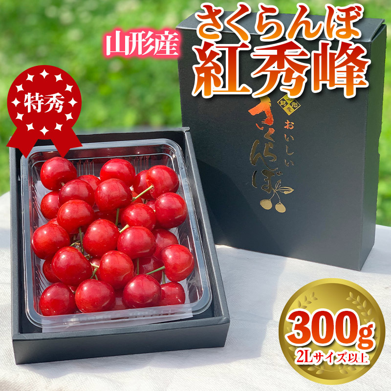 さくらんぼ 「紅秀峰」 300g 特秀品 2Lサイズ以上 山形産[令和8年産先行予約] FS24-038