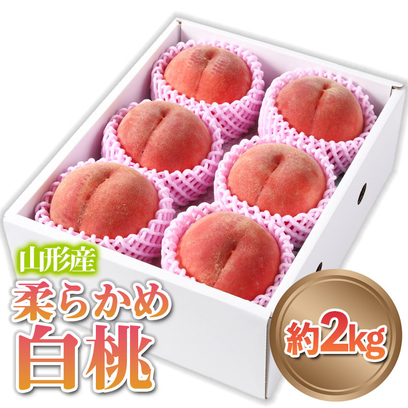 山形産 柔らかめ 「白桃」 秀品 約2kg (5玉〜8玉) [令和7年産先行予約]FS24-081