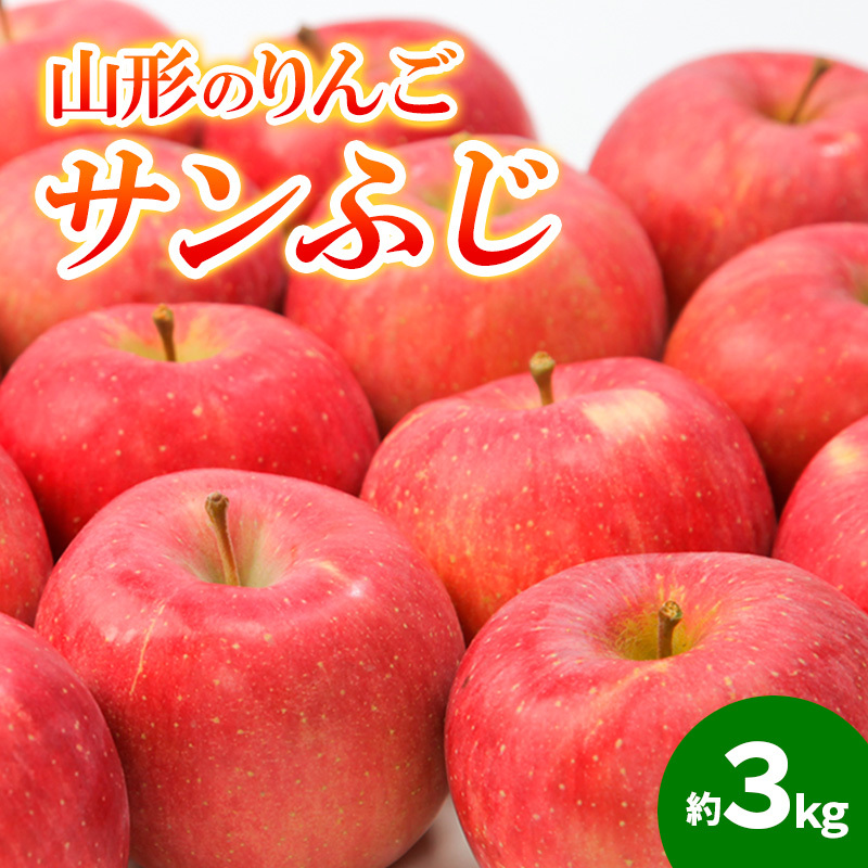 山形のりんご サンふじ 秀品 約3kg(6~12個) FY24-209