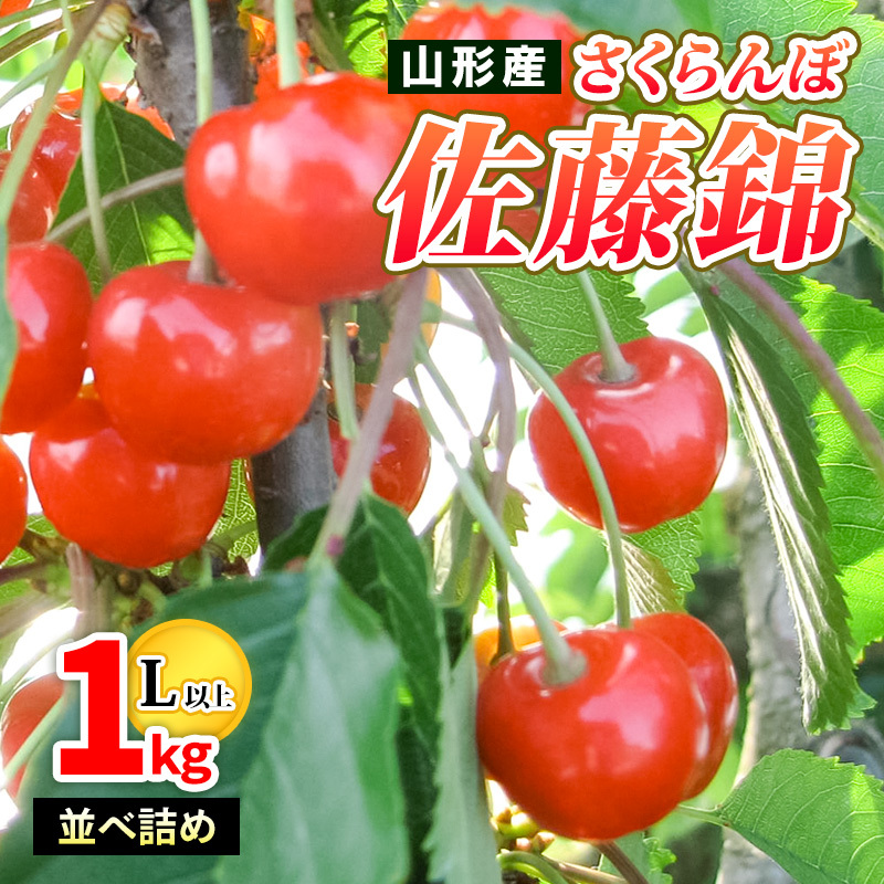 山形産 さくらんぼ佐藤錦 特秀 1kg 並べ詰め L以上 [令和8年産先行予約]FS25-502