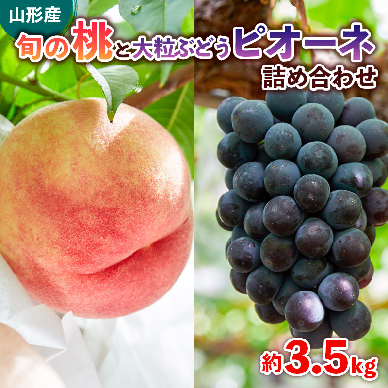 旬の桃と大粒ぶどうピオーネ 詰め合わせ 約3.5kg【令和8年産先行予約】FS24-764