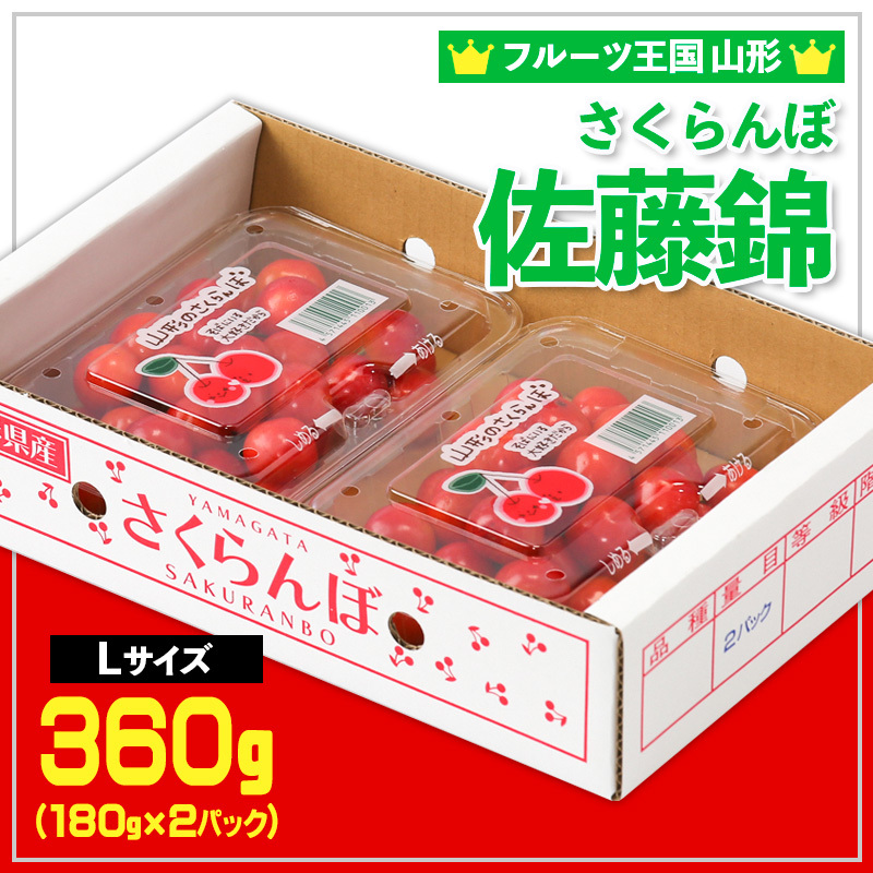 ☆フルーツ王国山形☆さくらんぼ 佐藤錦 Lサイズ 360g(180g×2パック) [令和8年産先行予約]FS25-558