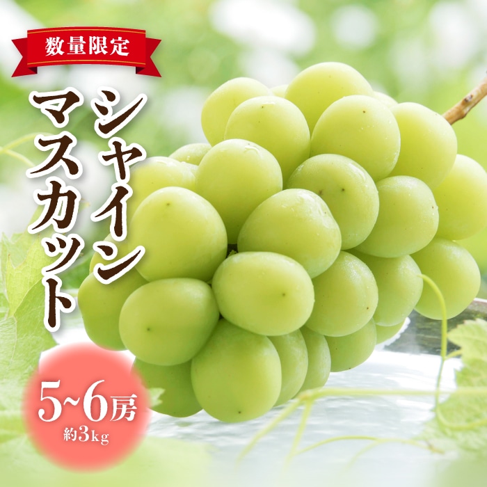 【2025年発送】東御市産 シャインマスカット 3kg (5～6房) ぶどう 葡萄 マスカット 家庭用 お取り寄せ ギフト フルーツ 果物 甘い 美味しい 国産 信州 長野県東御市 ※【秋お届け】