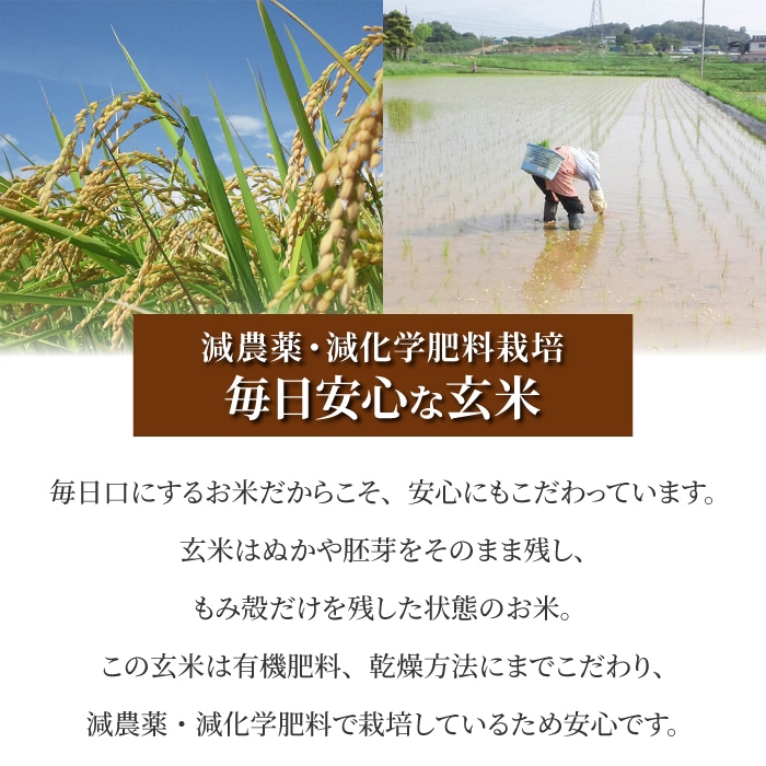 先行予約）【太陽と大地】八重原産特別栽培米（減農薬・減化学肥料栽培）コシヒカリ玄米1kg | 長野県東御市 | JRE MALLふるさと納税