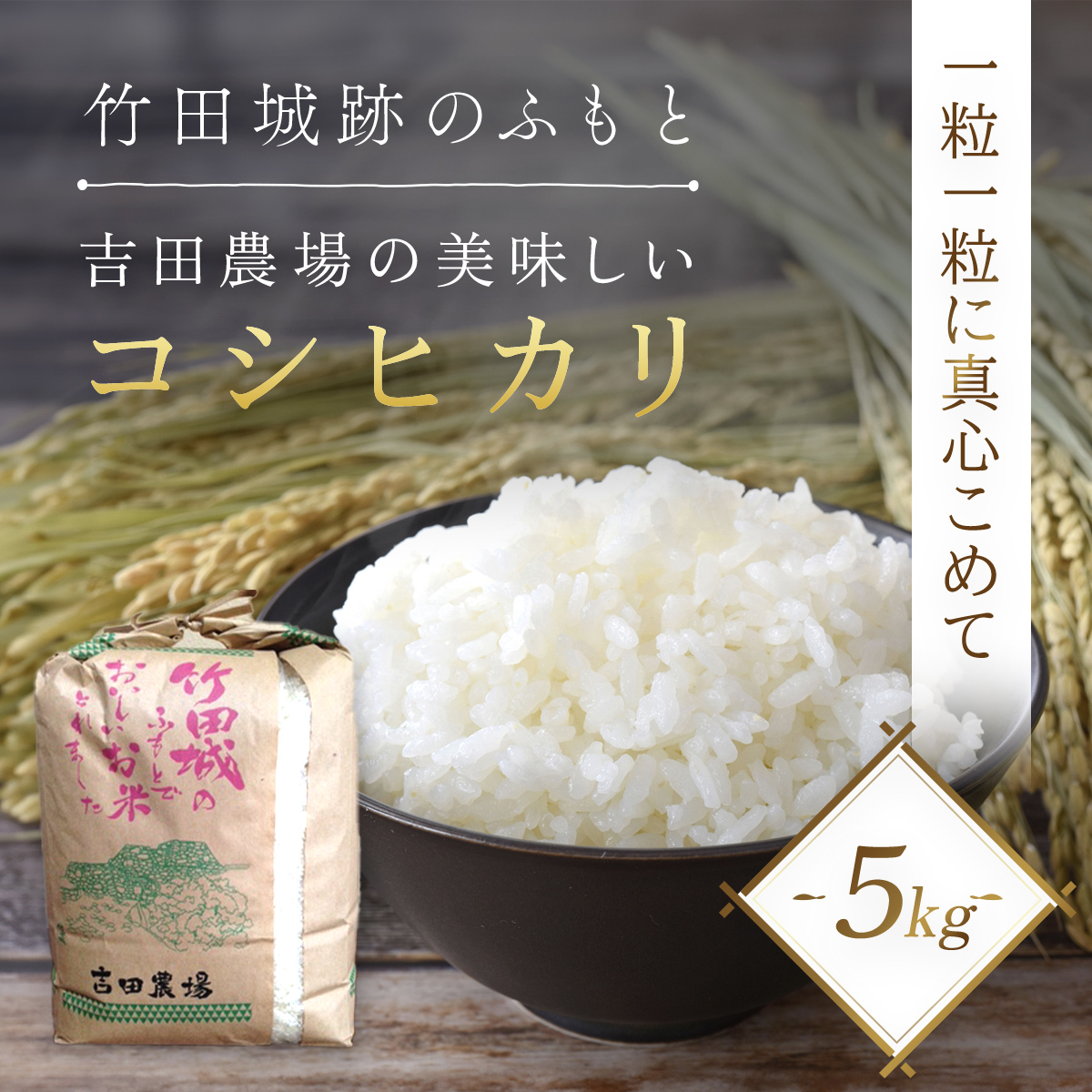 [令和6年産 新米]竹田城跡の麓 吉田農場の美味しいコシヒカリ(白米)5kg 兵庫県 朝来市 AS1B1 お米 米 おこめ こめ ご飯 白米 新米