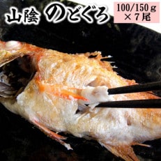 山陰のノドグロ 7尾入 煮付け、塩焼きに!【配送不可地域:離島】【1117132】