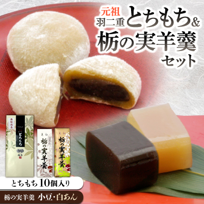 元祖羽二重とちもち10個入り+栃の実羊羹2本組(小豆・白あん)【1635394】